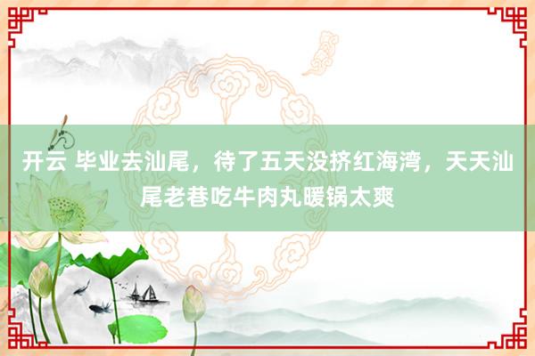 开云 毕业去汕尾，待了五天没挤红海湾，天天汕尾老巷吃牛肉丸暖锅太爽