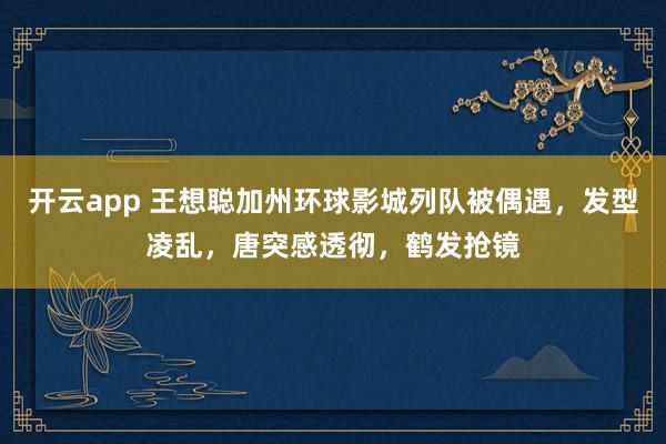 开云app 王想聪加州环球影城列队被偶遇，发型凌乱，唐突感透彻，鹤发抢镜