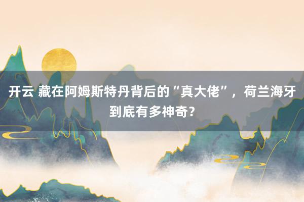 开云 藏在阿姆斯特丹背后的“真大佬”，荷兰海牙到底有多神奇？
