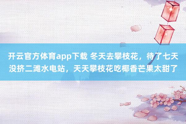 开云官方体育app下载 冬天去攀枝花，待了七天没挤二滩水电站，天天攀枝花吃椰香芒果太甜了